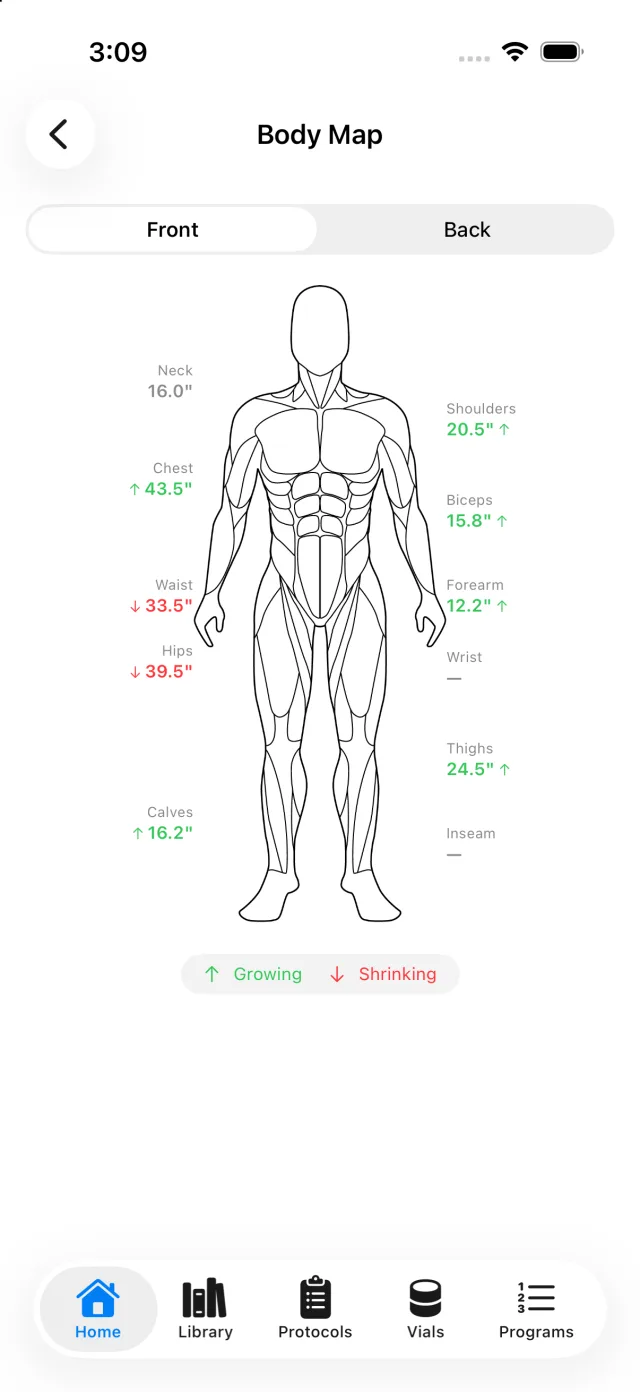 Body map screen